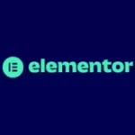 aadhidev anil can use elementor